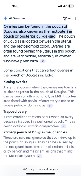 Can someone explain this ultrasound report please?