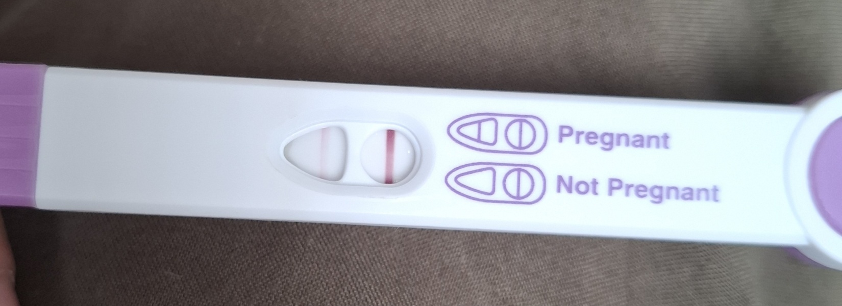 CD32... line eyes?
