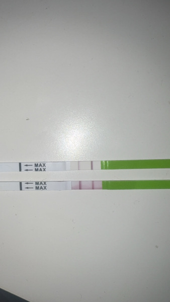 Ovulation Strip Results
