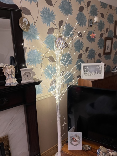 I miss my tree… indoor lights?