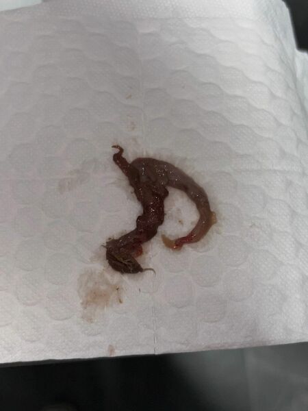 What is this??? Help