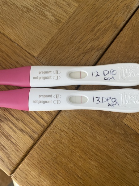 HELP…. Could this be chemical …. Again!!!