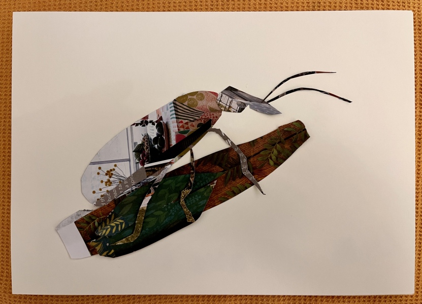 The Bluestocking: where conversation should supersede cards