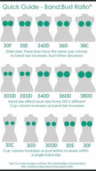 M&S bra fitting never again