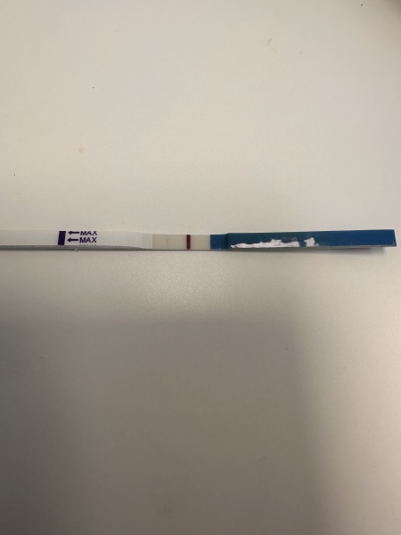 Vfp at 6dpo?