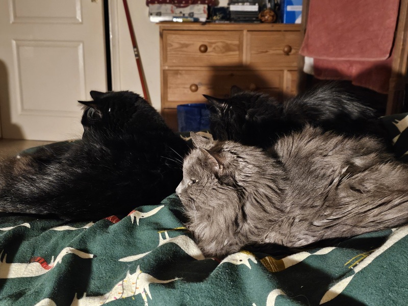 Thread 16 Starmer - Mad World