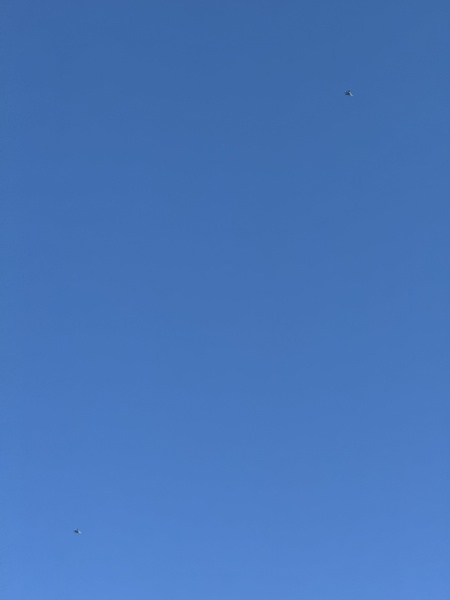 Anyone know why military jets are constantly flying overhead today?