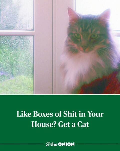 Thread 15 Starmer - Nolite te bastardes carborundorum