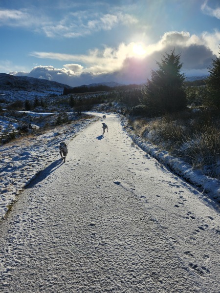 Mounjuro August starters - thread 10 !!!!