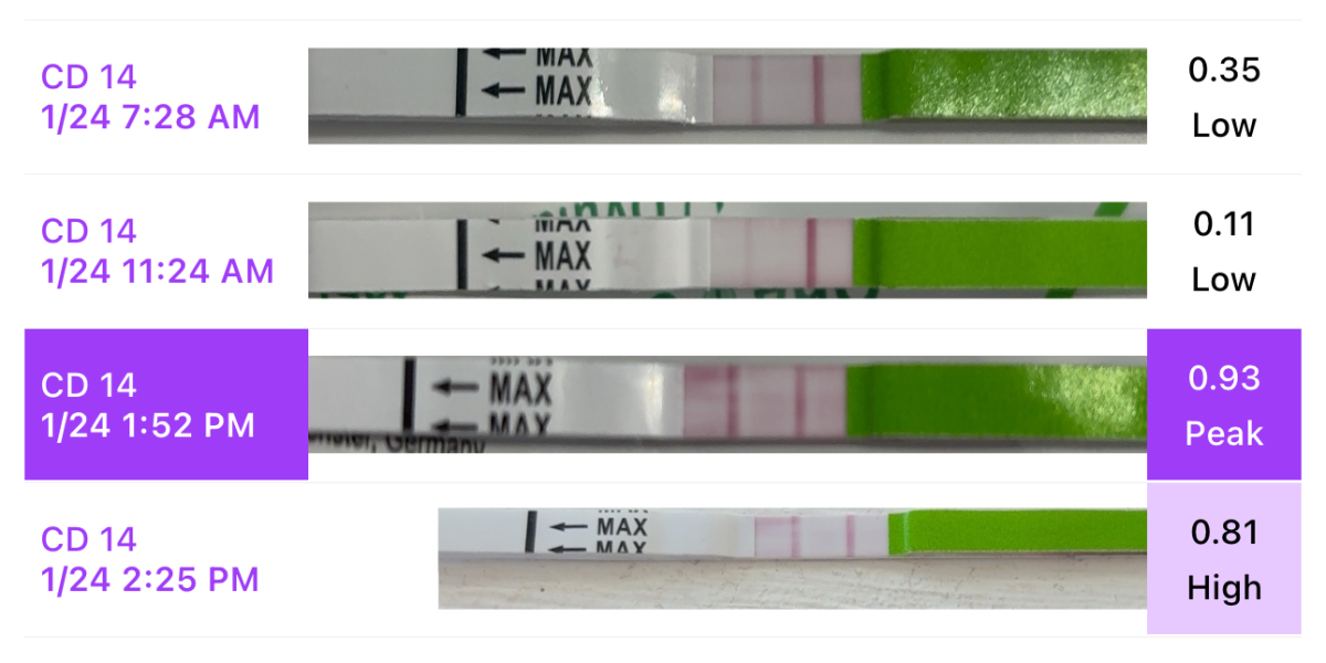 ovulation test results