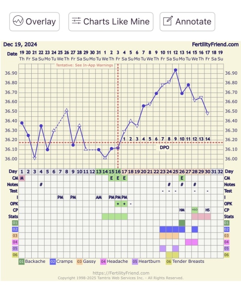 When did I ovulate?