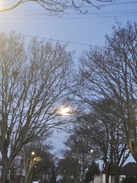 The Nigel Slater Christmas Chronicles Readalong 2024 Part 3