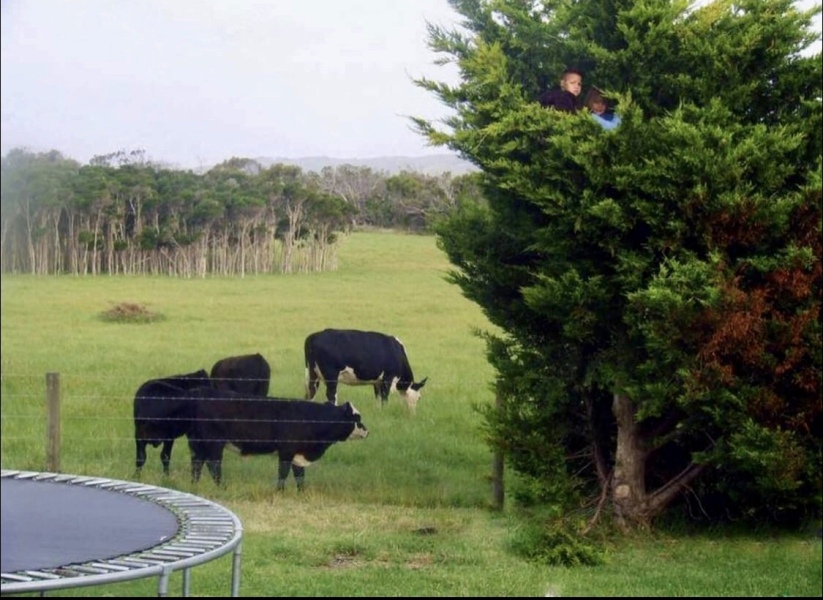 Wife Swap Australia - Unschooling?! WTF