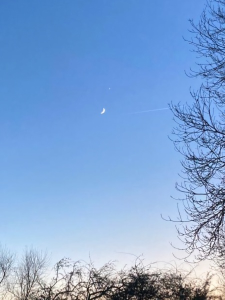 The moon tonight