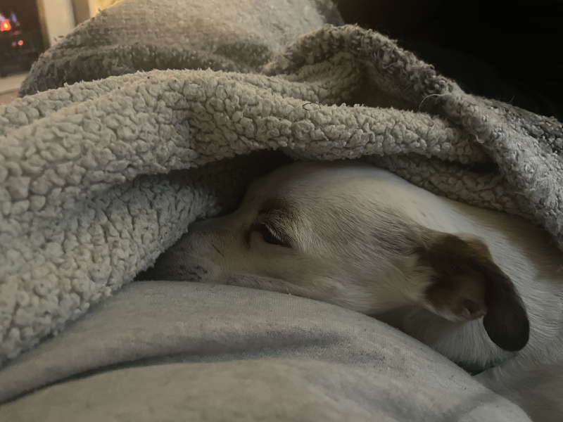 The Nigel Slater Christmas Chronicles Readalong 2024 Part 3