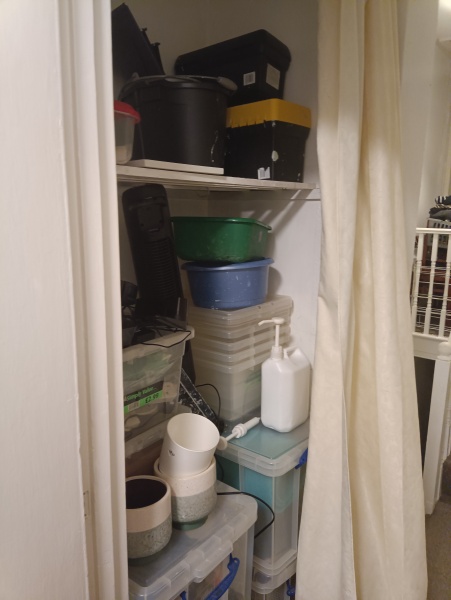 All I Want for Christmas is a tidy house - Decluttering thread 9