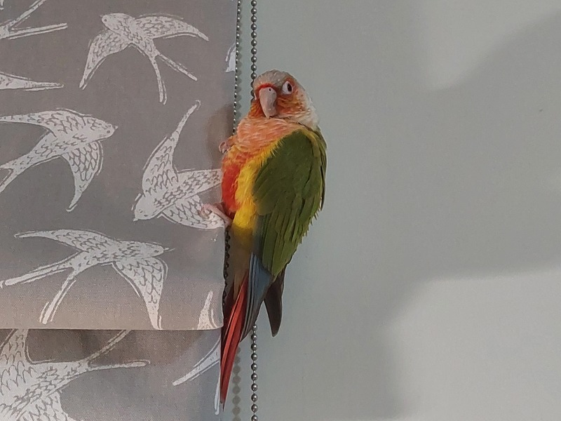 Show me your posers
