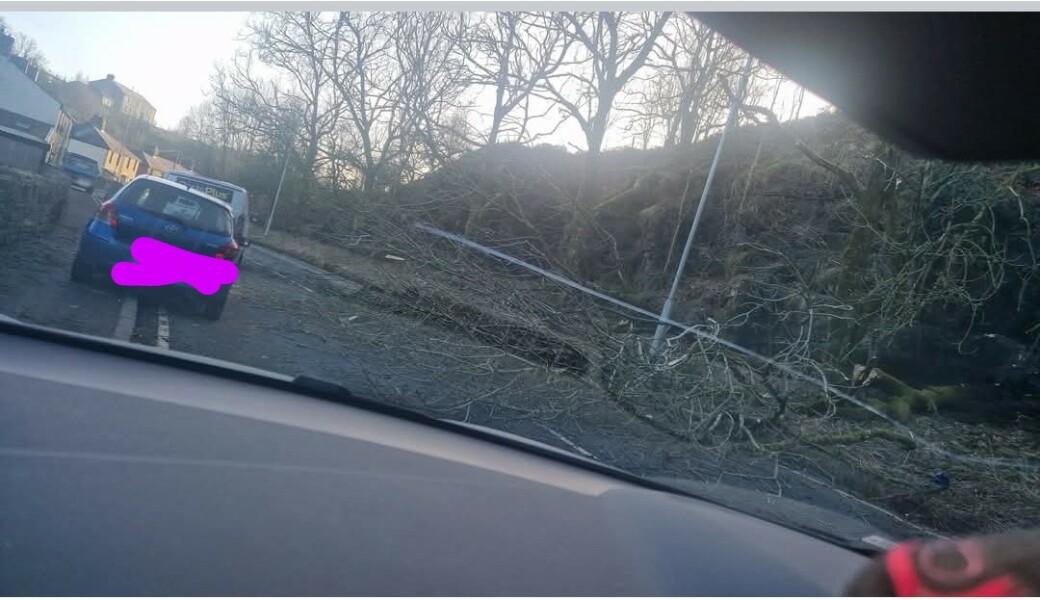 Week 4 (or is it 3?!) Jan '25 Low Carb Bootcamp