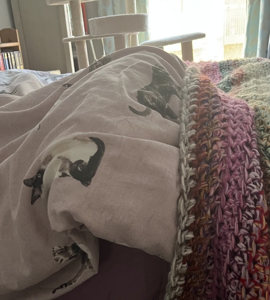 Ring Out, Wild Bells! As 2025 approaches, the Excellent Cats raise their game with a discussion on Tennyson's poetry