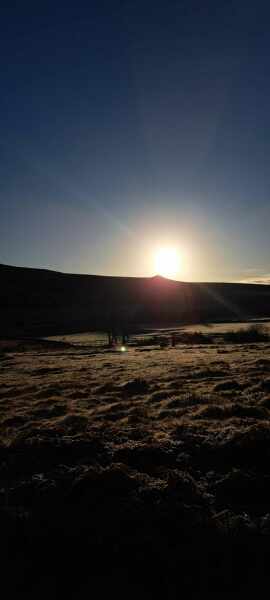 Thread 14 Starmer - The Starmeristas Strike Back