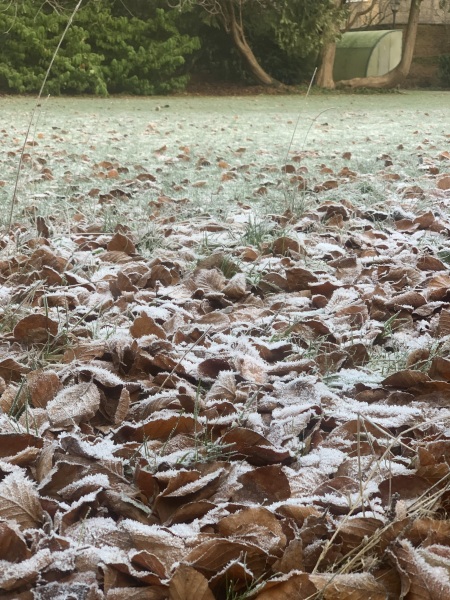 The Nigel Slater Christmas Chronicles Readalong 2024 Part 3