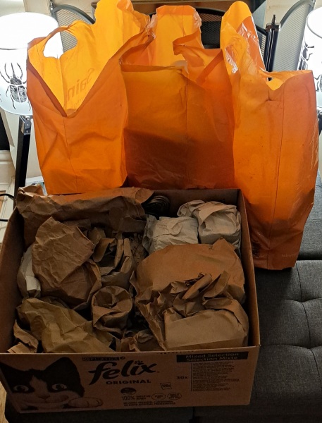 Ladies and Ladies: The Bluestocking is open: again