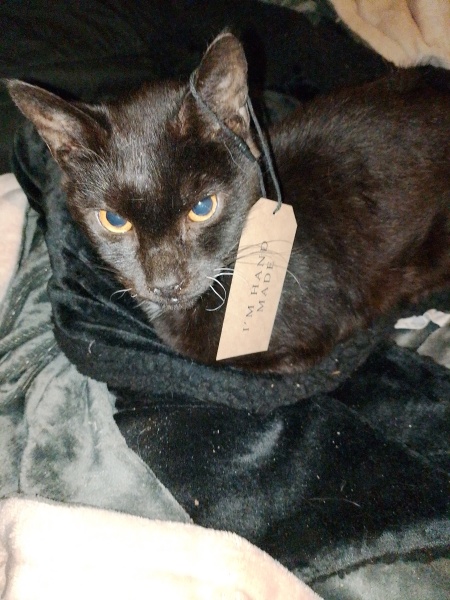 Ring Out, Wild Bells! As 2025 approaches, the Excellent Cats raise their game with a discussion on Tennyson's poetry