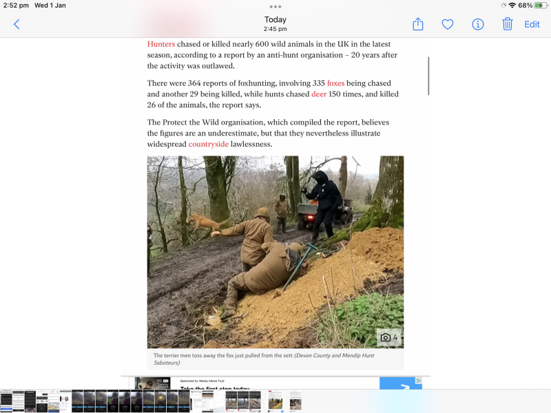 Trail Hunting or Fox Hunting?