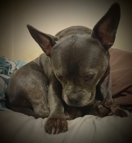 The Continuing Support Thread for Anyone Trying to Lead an Alcohol-Free Life Winter 2024