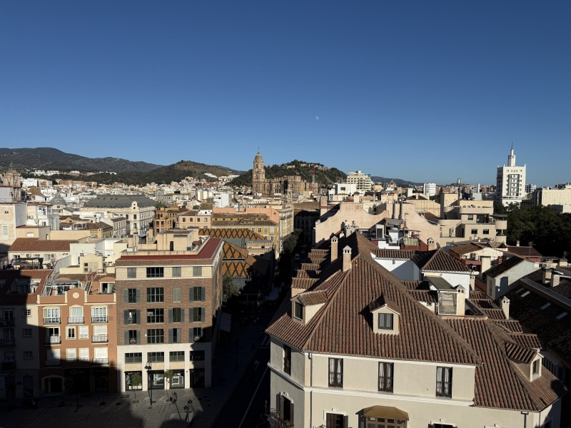 Ring Out, Wild Bells! As 2025 approaches, the Excellent Cats raise their game with a discussion on Tennyson's poetry