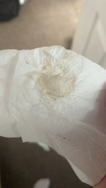 Brown spotting 5w6d... terrified..PIC ATTACHED