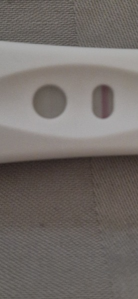 Clear Blue Fertility Monitor