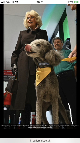 Royal Style: Take the Tiaras out of The Vault! Sparkles aren't just for Christmas!