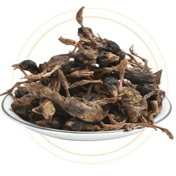 Why don't we just feed our cats red meat?