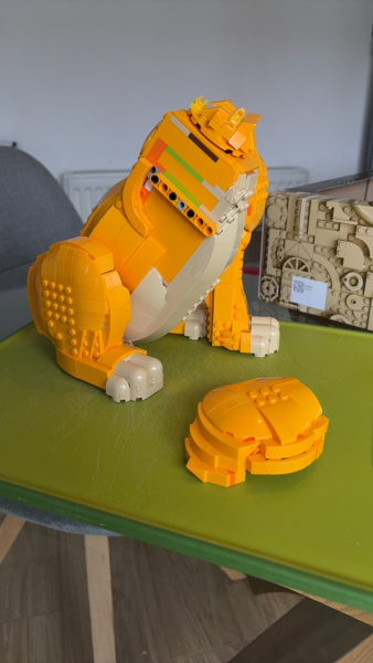 To show me your Lego collection?