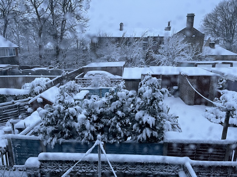 Has anyone got snow yet?