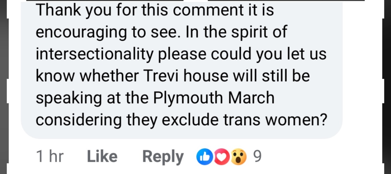 The “women’s march” that’s all about the men.