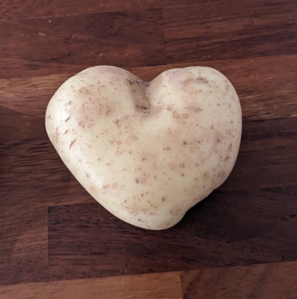 Thread 15 Starmer - Nolite te bastardes carborundorum