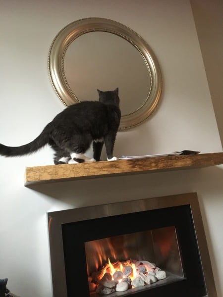 Frame/Mirror for this wall (pic attached).