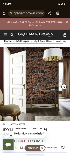 Looking for wallpaper inspiration