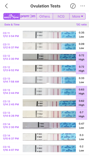Cycles all over the place following MC