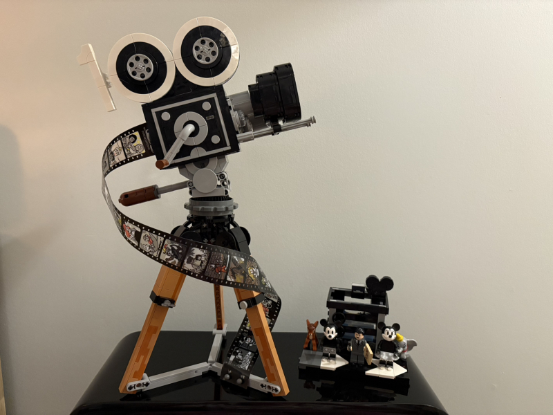To show me your Lego collection?