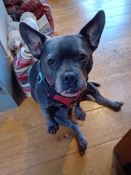 The Continuing Support Thread for Anyone Trying to Lead an Alcohol-Free Life Winter 2024