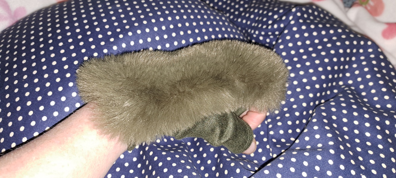 The Bluestocking: the one where AI finally learns what a blackbird is (we hope)