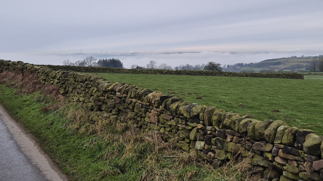 Mounjuro August starters - thread 10 !!!!