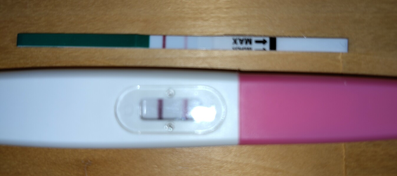 12dp5dt, v. faint line on urine test after positive blood test