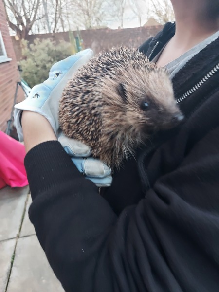 Mounjuro August starters - thread 11