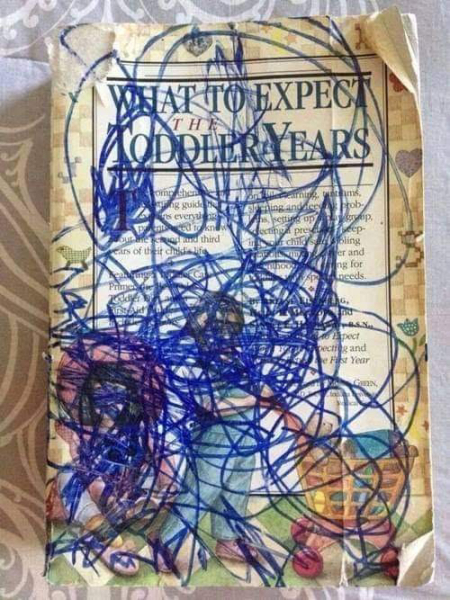 How do I handle this with my 2 year old? I am despairing