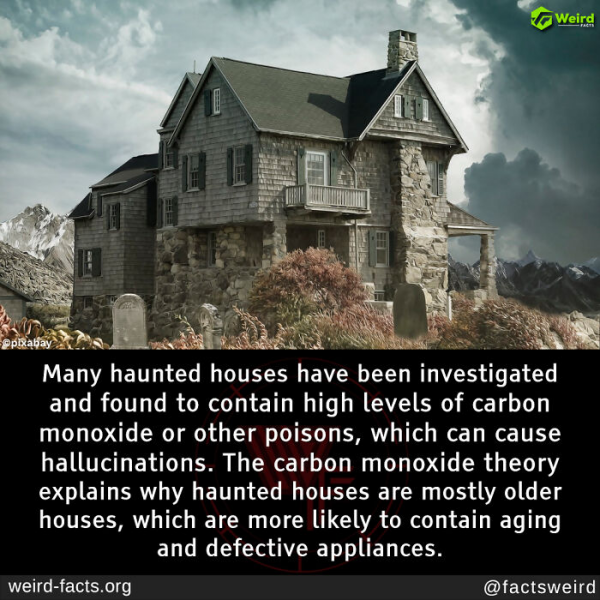 To believe my house is haunted?