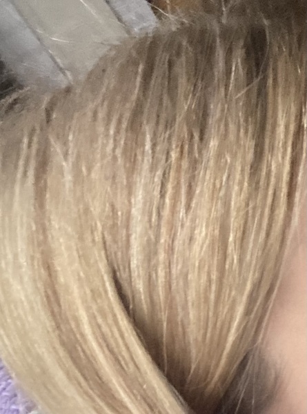 Warm tone hair
